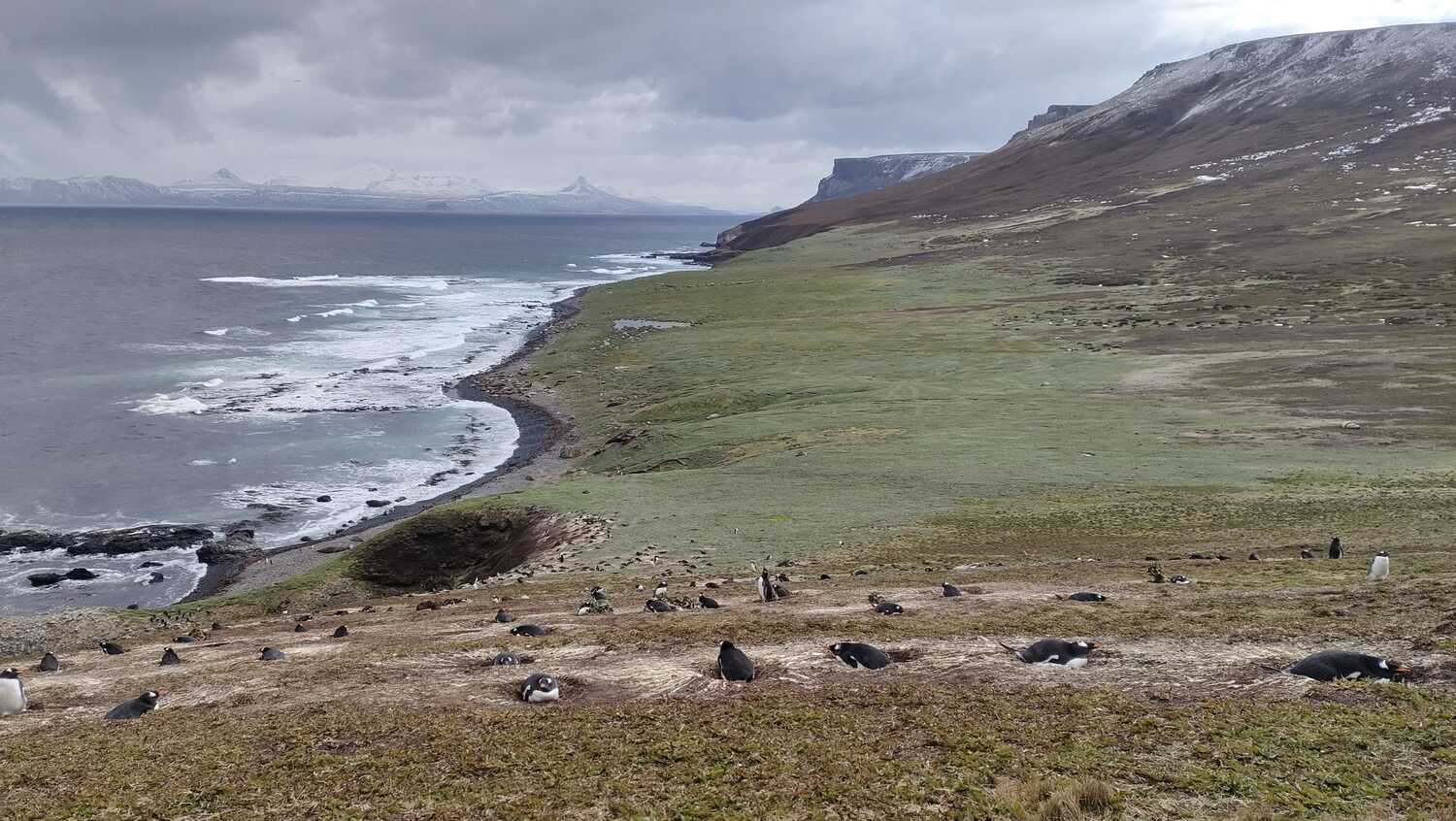 Plaine de Pointe Suzanne